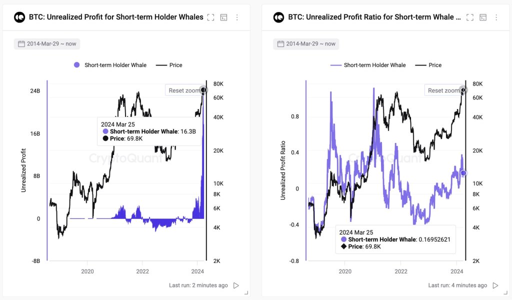 Bitcoin Whale Profits Soar To $16.3 Billion Despite Mixed Spot BTC ETF Flows