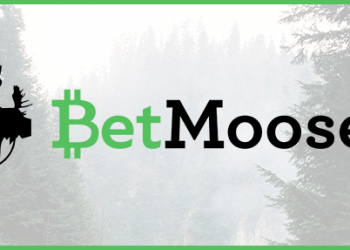 Exclusive Launch Interview with Betmoose: User-Driven Betting Exchange