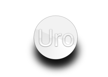 Interview with URO Developers