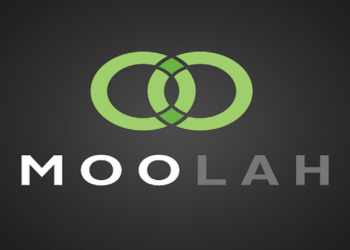 Mintpal is acquired by Moolah.io
