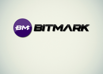 Interview with Bitmark Developers