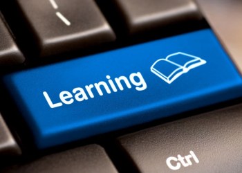 Lessons to Learn from Moolah and Bitcoin Trader collapse