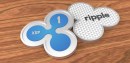 Ripple XRP Bitcoinist
