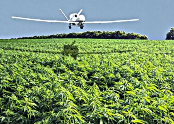 Bitcoin-Purchased Marijuana May Soon be Available via Drone