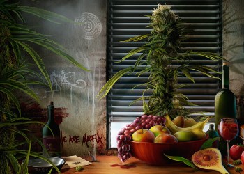 Denver, Colorado to Hold Crypto Cannabis Conference