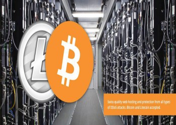 CoinsHost Provides Professional Web Hosting and DDoS Protection