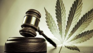 Banks-and-the-Marijuana-Industry