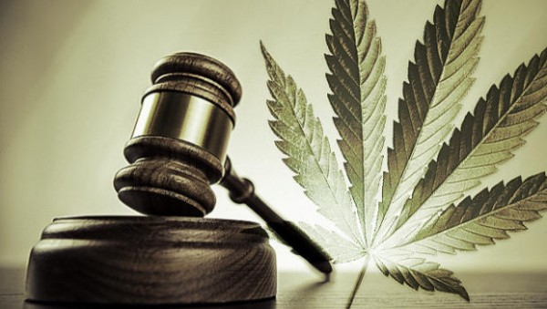Legitimizing the Cannabis Industry