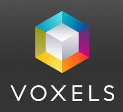voxels logo