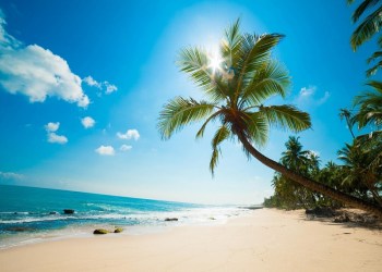 Patrick Byrne: Barbados Tests Fiat Hosting on Blockchain