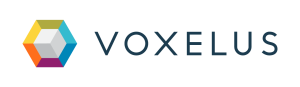 Voxelus