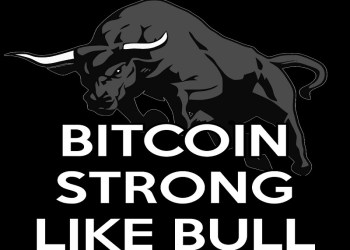 bitcoin bull