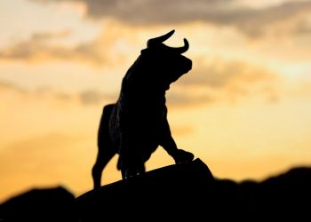 Bull Market Bitcoin Price