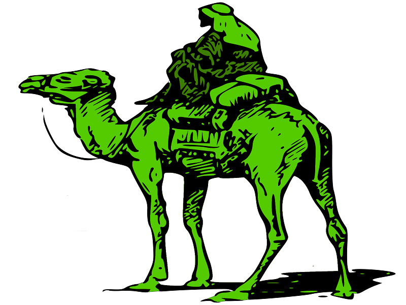 Silk-Road-Marketplace-Camel