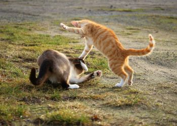 binance bitmex bitcoin liquidation