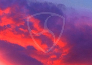 New Economy Movement