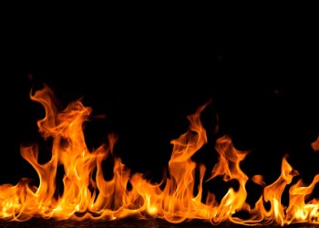 Synereo Destroys Half its AMP Tokens Ahead of Crowdsale