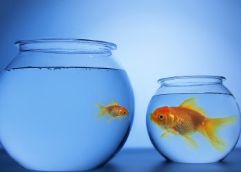 Exscudo CEO: Cryptocurrency Exchange Market ‘Already Too Big’