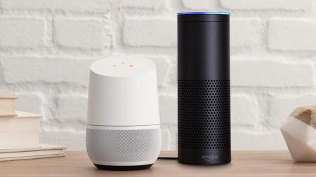 Google Home & Amazon Echo