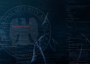 Is NSA Behind Bitcoin Price Drop and Global Cyber Attack?