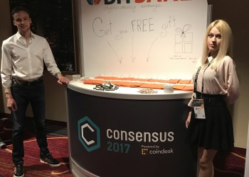 Bitsane