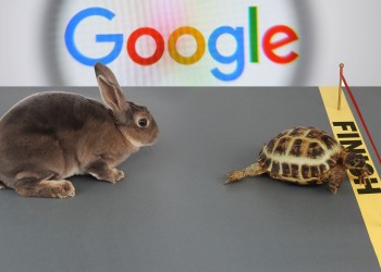 Ethereum Surpasses Bitcoin Google Searches for the First Time in History