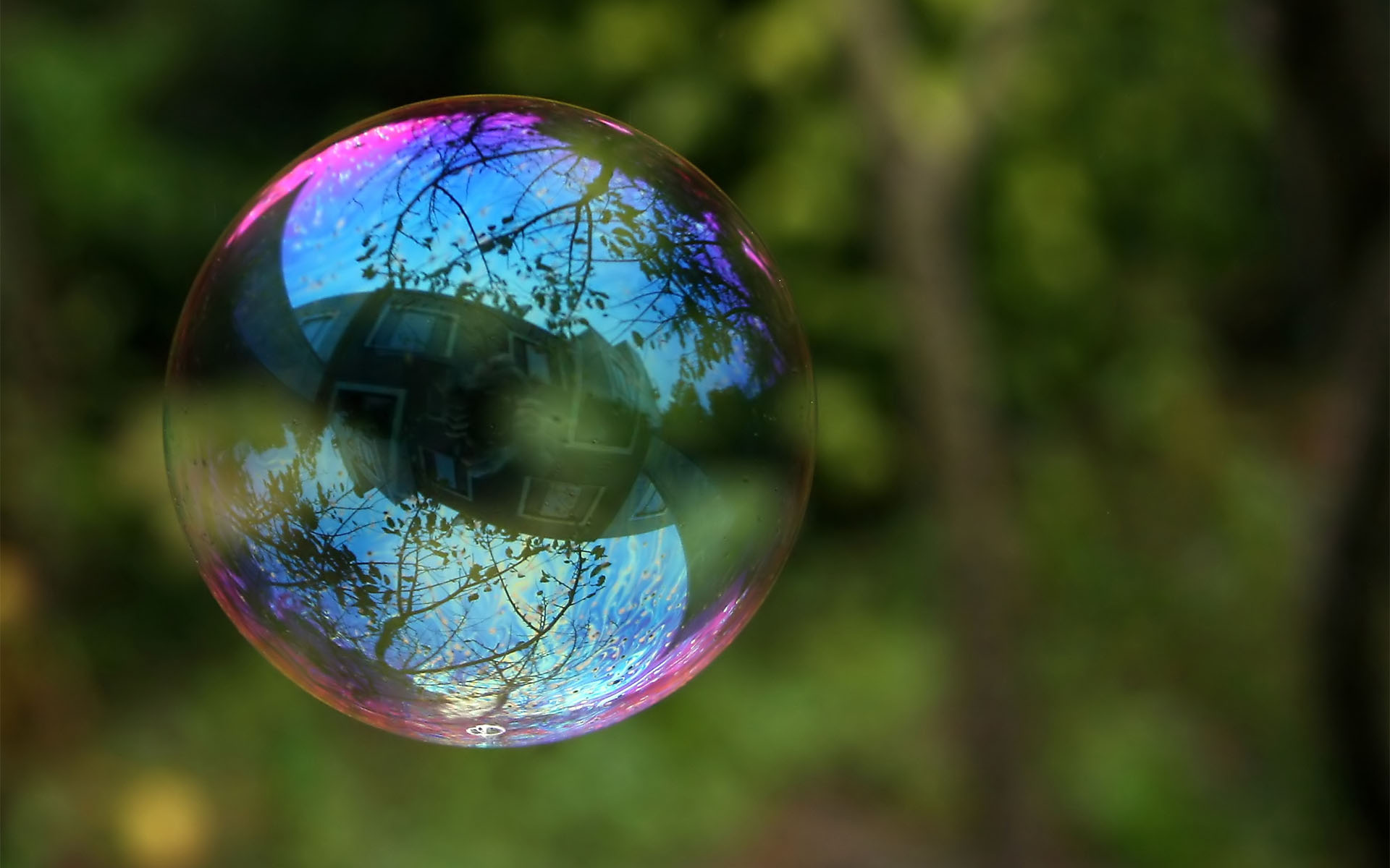 Oi, Schiller! That’s Not a Bubble – This is a Bubble