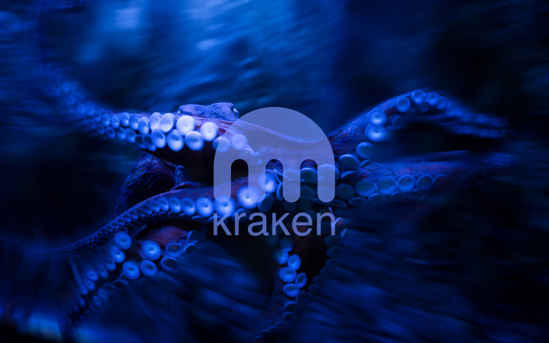 Kraken Reduces Fees Amidst Community Backlash | Bitcoinist.com