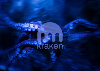 Kraken Reduces Fees Amidst Community Backlash
