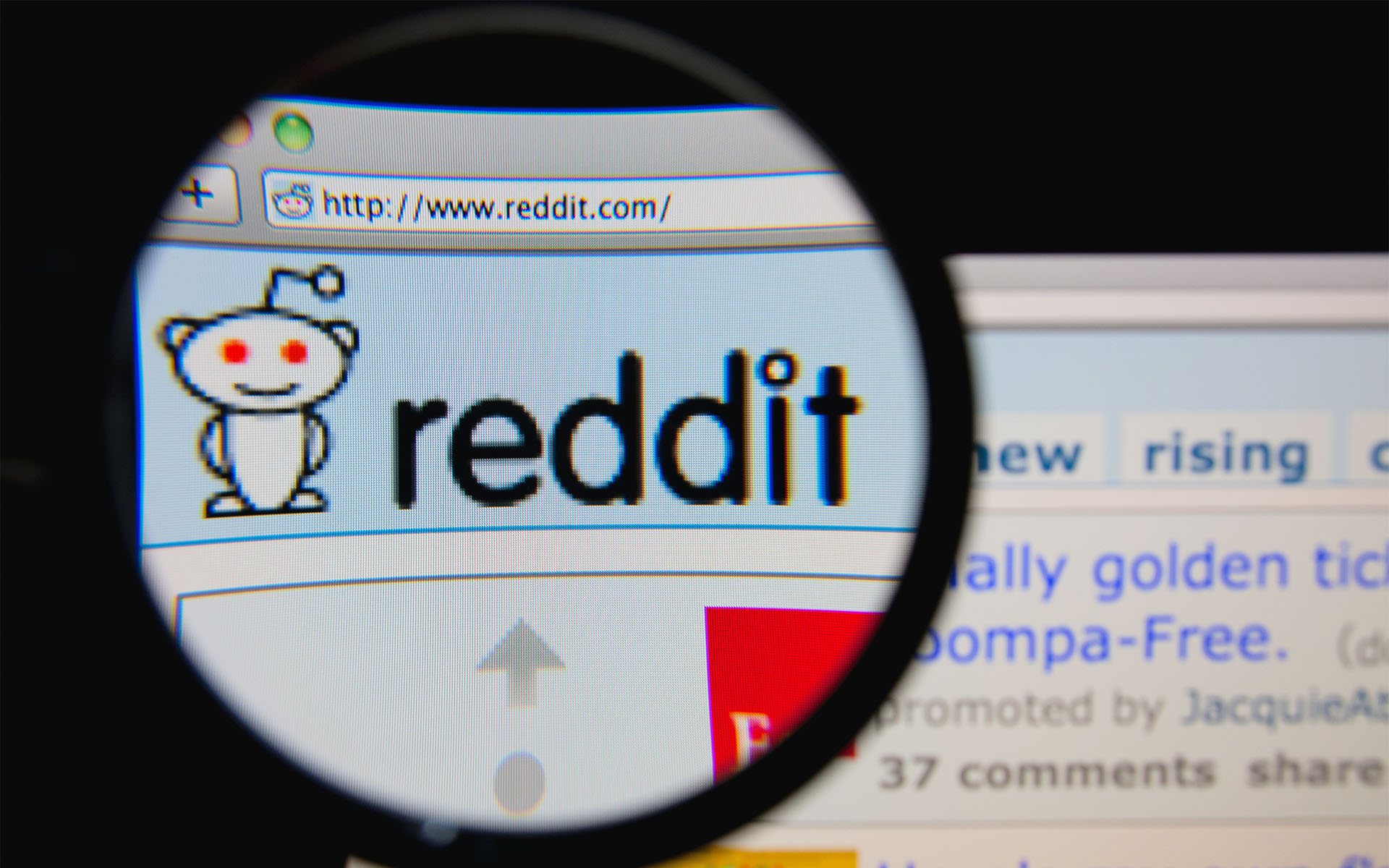 Highschool Dropout and Bitcoin Millionaire Hosts Reddit AMA