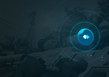 SkinCoin: a Blockchain Solution for the Video Game Skin Trade Economy