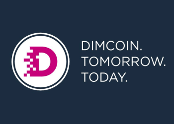 DIMCOIN Pre-ICO Offers a 10% Additional Bonus for XEM Contributions