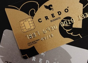 Can CREDO Take Its Place Alongside Visa and Mastercard?
