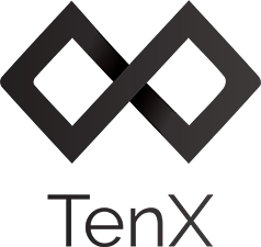 How TenX Works