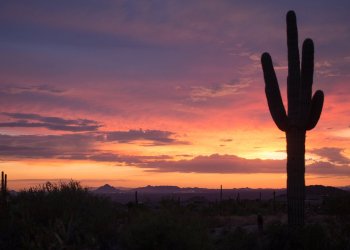 Dash Sponsors Arizona State University’s New Blockchain Research Lab