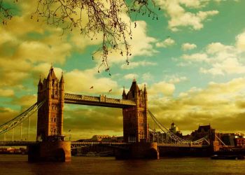 Cointal, The first Multi-cryptocurrencies p2p Marketplace launched pre-signups