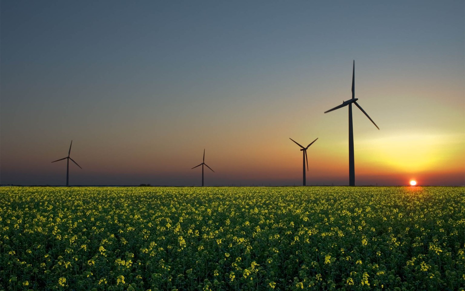 Wepower Blockchain-Powered Green Energy Startup WePower Announces Platform ...