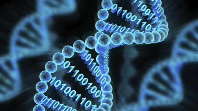 MicroMoney : Digital DNA
