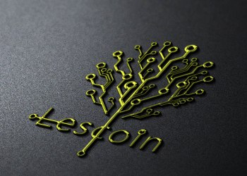 Real Deal - Russian Wood for Cryptocurrency