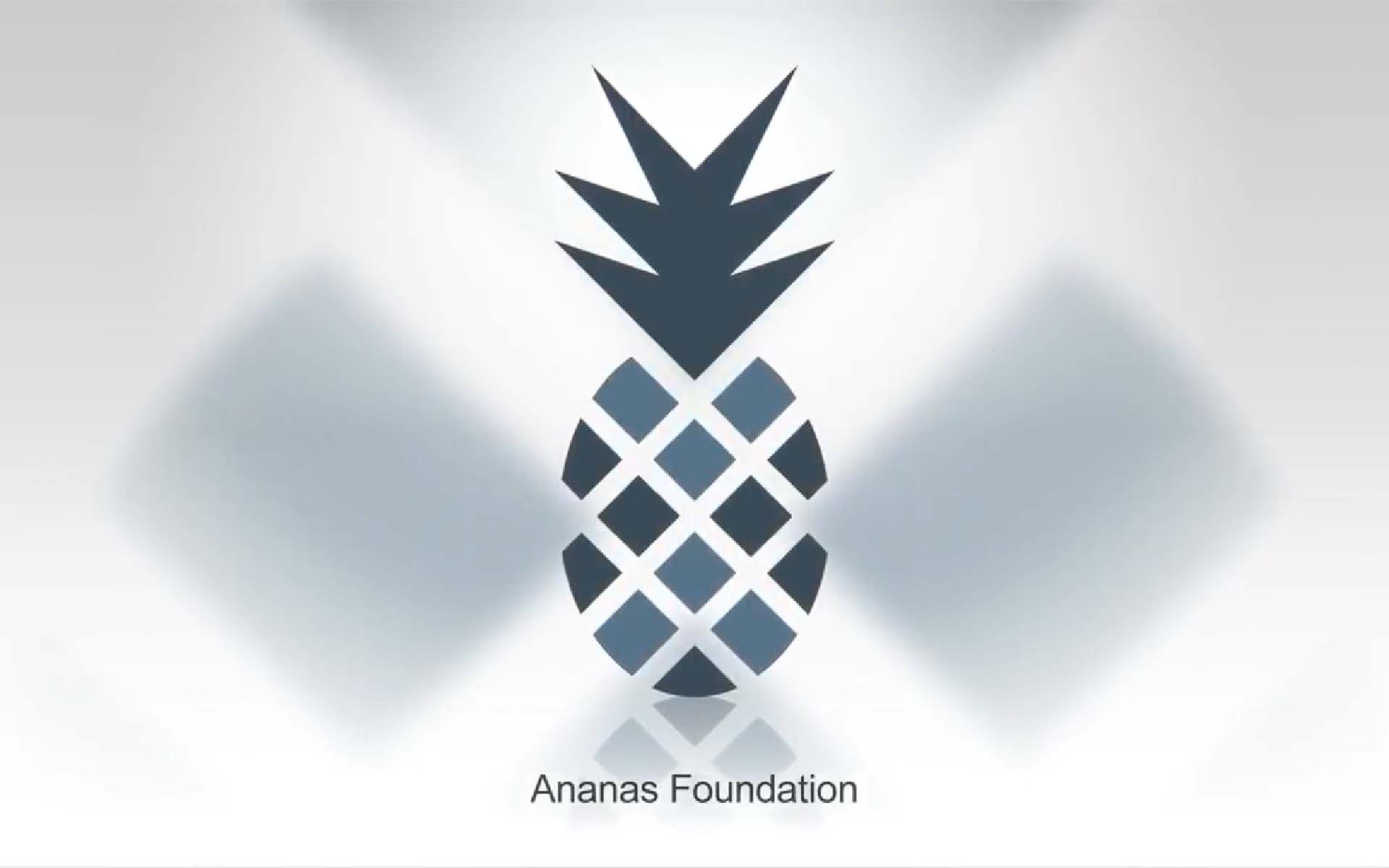 Ananas Foundation Building Knowledge Graphs of Belief Systems Within the Blockchain