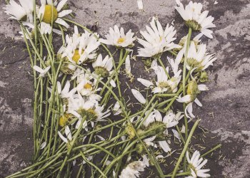 Preparing a Digital Inheritance – What Happens to Your Bitcoin When You Die