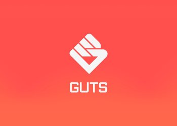 Honest Ticketing: Dutch Political Process Fails and GUTS ICO Raises $2.5m as a Result