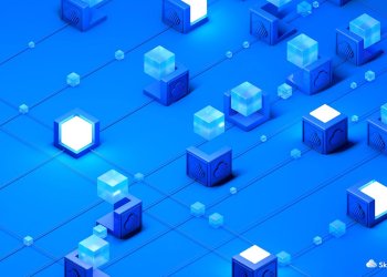 SkyCoin: A Third Generation of Cryptocurrency and Decentralized Internet in the Works