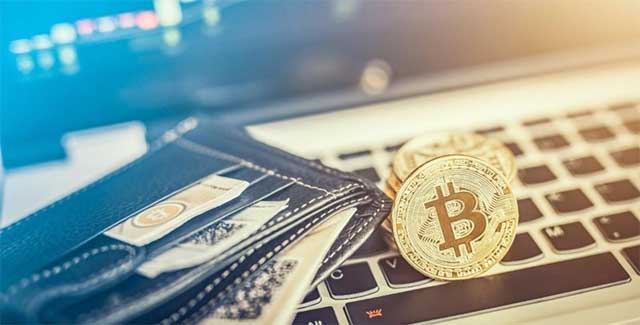 Cryptocurrency Wallet: The What and The How