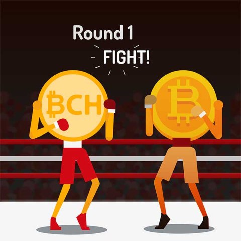 A Tale of Two Bitcoins