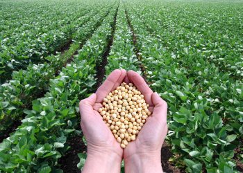 US and China Use Blockchain to Trade Soybeans