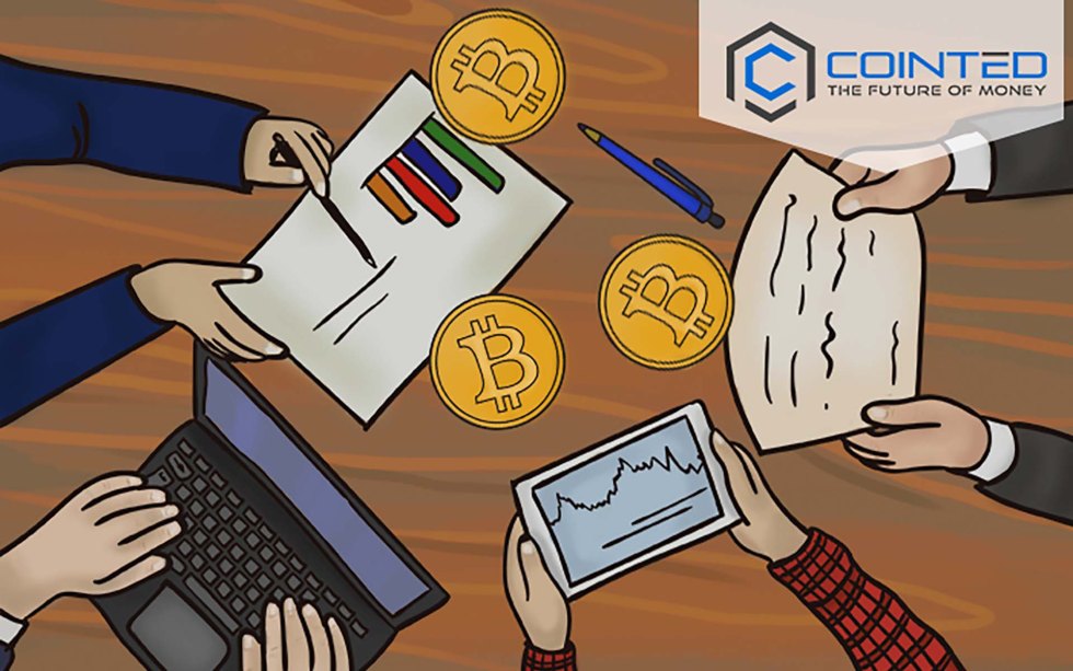 Cointed Transparency Report: Company Structure and Ownership