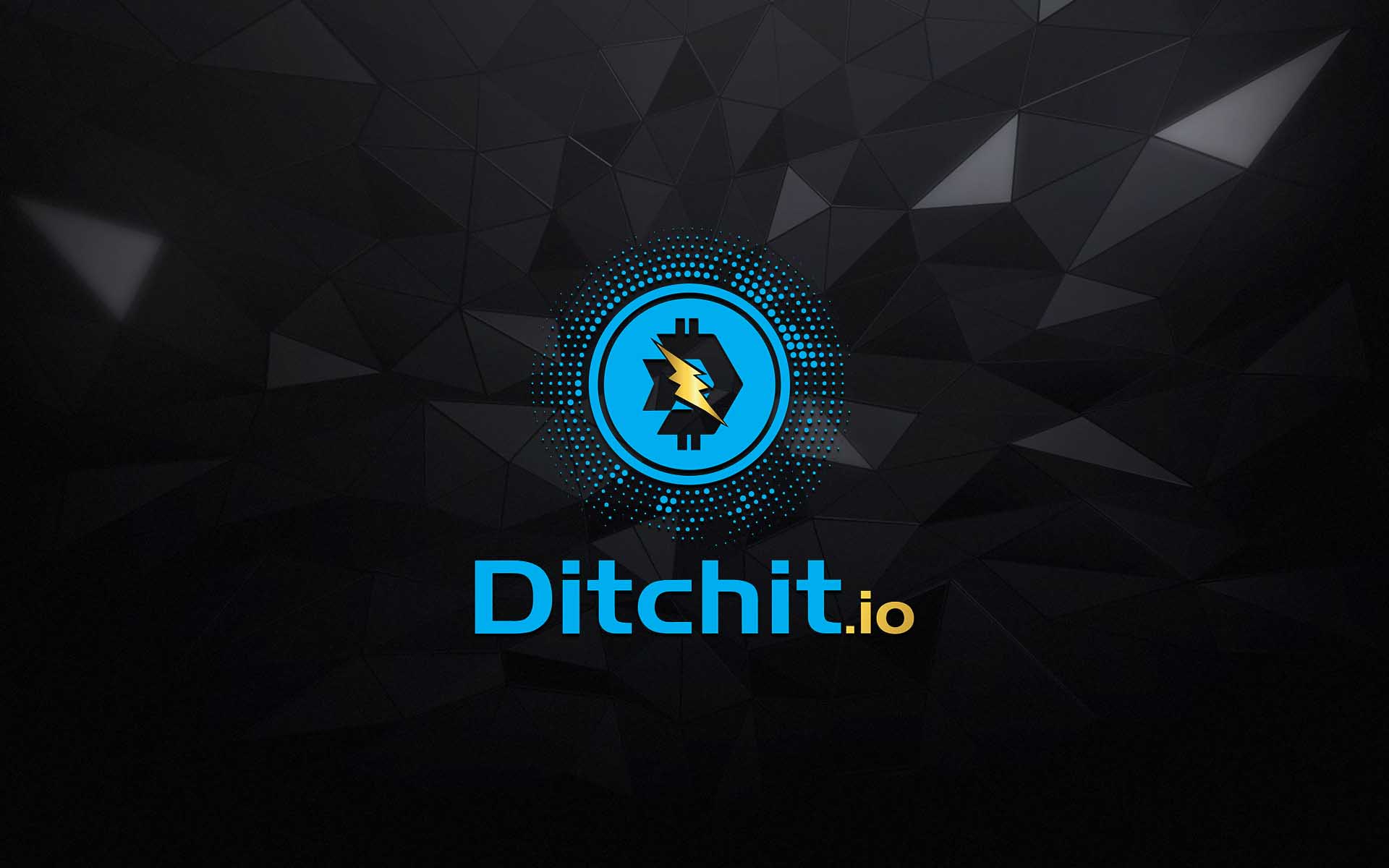 The Ditch-It App Launches ICO & Allows People To Turn Every Day Clutter Into Serious Cryptocurrency
