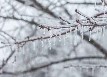 Australian Banks Reportedly Freezing the Accounts of Bitcoin Users