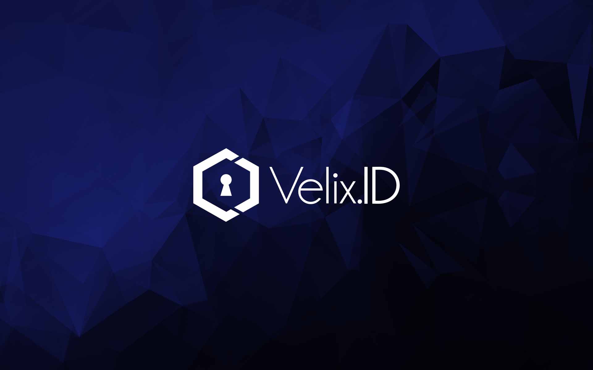 Velix.ID Partners with the Largest Cryptocurrency Exchanges in India to Revamp KYC